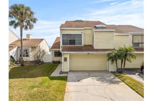 4029 Starfish Ln, TAMPA