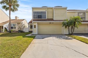 4029 STARFISH LANE, TAMPA, FL 33615 - MLS#MFRTB8448085