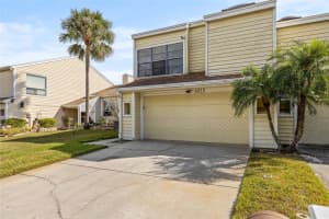 4029 STARFISH LANE, TAMPA, FL 33615 - MLS#MFRTB8448085