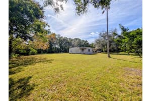 8412 PETERSON ROAD, ODESSA, FL 33556 - MLS#MFRTB8448097