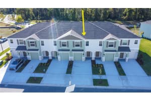 11367 VELVET APRICOT DRIVE, LAND O LAKES, FL 34638 - MLS#MFRTB8448210