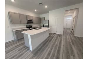 11367 VELVET APRICOT DRIVE, LAND O LAKES, FL 34638 - MLS#MFRTB8448210