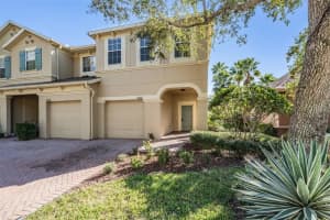 17528 HUGH LANE, LAND O LAKES, FL 34638 - MLS#MFRTB8448226