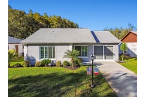 11539 SCOTCH PINE DRIVE, NEW PORT RICHEY, FL 34654 - MLS#MFRTB8448229