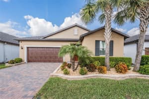 31617 CANNON RUSH DRIVE, SAN ANTONIO, FL 33576 - MLS#MFRTB8448267