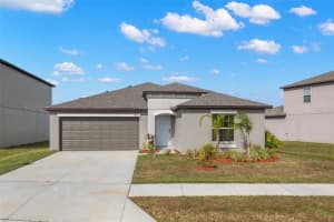13641 WILD GINGER STREET, RIVERVIEW, FL 33579 - MLS#MFRTB8448281