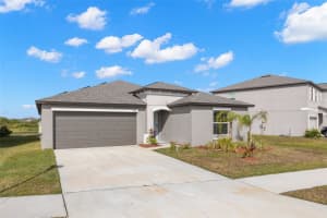13641 WILD GINGER STREET, RIVERVIEW, FL 33579 - MLS#MFRTB8448281