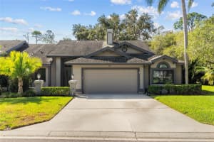 948 LUCAS LANE, OLDSMAR, FL 34677 - MLS#MFRTB8448286