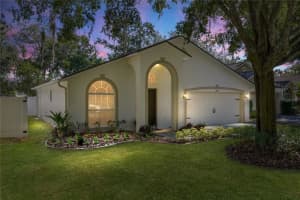 3007 CASTLE ROCK CIRCLE, LAND O LAKES, FL 34639 - MLS#MFRTB8448294