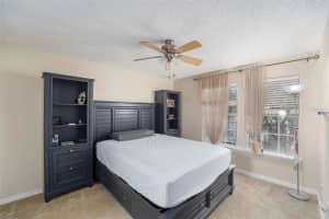 3270 HAVILAND COURT, PALM HARBOR, FL 34684 - MLS#MFRTB8448336