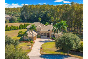 17336 BALLMONT PARK DRIVE, ODESSA, FL 33556 - MLS#MFRTB8448355