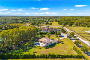 17336 BALLMONT PARK DRIVE, ODESSA, FL 33556 - MLS#MFRTB8448355
