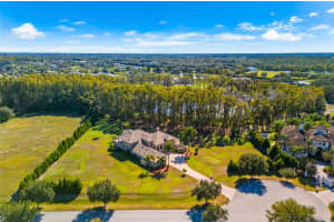 17336 BALLMONT PARK DRIVE, ODESSA, FL 33556 - MLS#MFRTB8448355