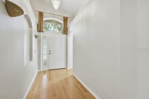 18939 TWINBERRY DRIVE, TAMPA, FL 33647 - MLS#MFRTB8448357