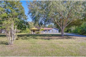 11313 Marjory Ave, TAMPA 11313 Marjory Ave, TAMPA