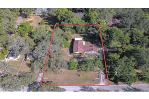 11313 MARJORY AVENUE, TAMPA, FL 33612 - MLS#MFRTB8448392