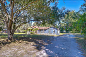 11313 MARJORY AVENUE, TAMPA, FL 33612 - MLS#MFRTB8448392