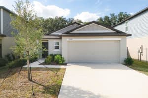 12609 MAPLE BONSAI DRIVE, RIVERVIEW, FL 33579 - MLS#MFRTB8448394