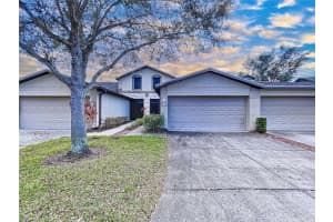 11212 PORT DOUGLAS DRIVE, NEW PORT RICHEY, FL 34654 - MLS#MFRTB8448409