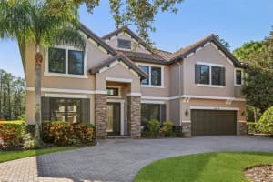 11624 CALF PATH DRIVE, TAMPA, FL 33626 - MLS#MFRTB8448415