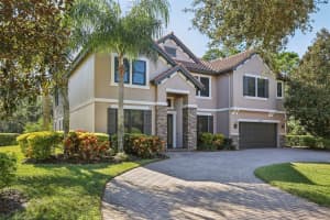 11624 CALF PATH DRIVE, TAMPA, FL 33626 - MLS#MFRTB8448415