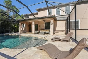 11624 CALF PATH DRIVE, TAMPA, FL 33626 - MLS#MFRTB8448415