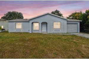 11127 HOLBROOK STREET, SPRING HILL, FL 34609 - MLS#MFRTB8448452