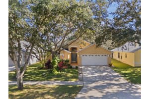 18959 WOOD SAGE DRIVE, TAMPA, FL 33647 - MLS#MFRTB8448501