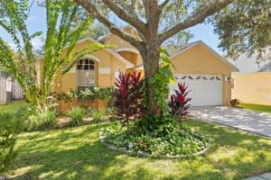 18959 WOOD SAGE DRIVE, TAMPA, FL 33647 - MLS#MFRTB8448501