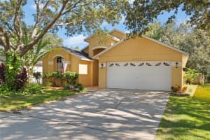 18959 WOOD SAGE DRIVE, TAMPA, FL 33647 - MLS#MFRTB8448501