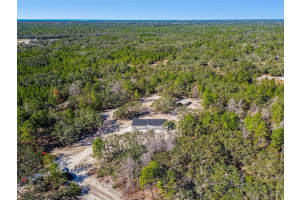 12015 GLADWIN AVENUE, HUDSON, FL 34667 - MLS#MFRTB8448526