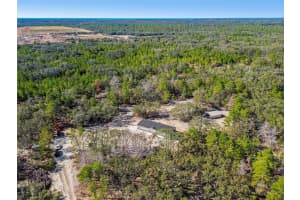 12015 GLADWIN AVENUE, HUDSON, FL 34667 - MLS#MFRTB8448526