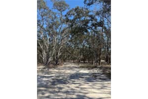 12015 GLADWIN AVENUE, HUDSON, FL 34667 - MLS#MFRTB8448526