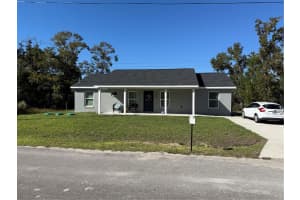 16429 115TH PLACE ROAD, OCKLAWAHA, FL 32179 - MLS#MFRTB8448528