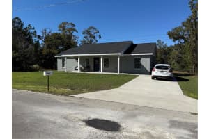16429 115TH PLACE ROAD, OCKLAWAHA, FL 32179 - MLS#MFRTB8448528