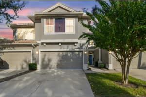 3331 COVERED BRIDGE DRIVE, DUNEDIN, FL 34698 - MLS#MFRTB8448537