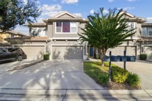 3331 COVERED BRIDGE DRIVE, DUNEDIN, FL 34698 - MLS#MFRTB8448537