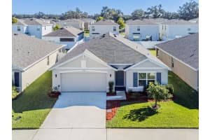 13748 Wineberry Dr, DADE CITY 13748 Wineberry Dr, DADE CITY