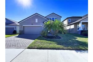 11411 CHILLY WATER COURT, RIVERVIEW, FL 33569 - MLS#MFRTB8448570