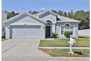 10224 Grant Creek Dr, TAMPA 10224 Grant Creek Dr, TAMPA