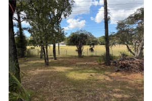 1509 FINLAND DRIVE, SPRING HILL, FL 34609 - MLS#MFRTB8448632