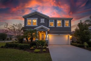 7402 Futura Pl, APOLLO BEACH 7402 Futura Pl, APOLLO BEACH