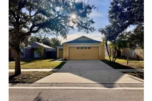 18133 Lembrecht Way, TAMPA