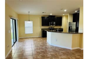 9908 SPICE BUSH COURT, TAMPA, FL 33647 - MLS#MFRTB8448694