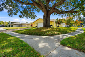 5425 PENTAIL CIRCLE, TAMPA, FL 33625 - MLS#MFRTB8448702