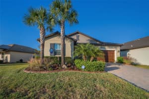 31763 CABANA RYE AVENUE, SAN ANTONIO, FL 33576 - MLS#MFRTB8448703