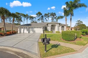 18715 DOVE HOLLOW COURT, HUDSON, FL 34667 - MLS#MFRTB8448704