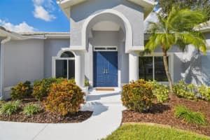 1337 FISHING LAKE DRIVE, ODESSA, FL 33556 - MLS#MFRTB8448705