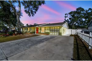 3611 Wisperbreath Ln, TAMPA 3611 Wisperbreath Ln, TAMPA