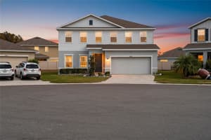 10196 Agave Ct, LAND O LAKES